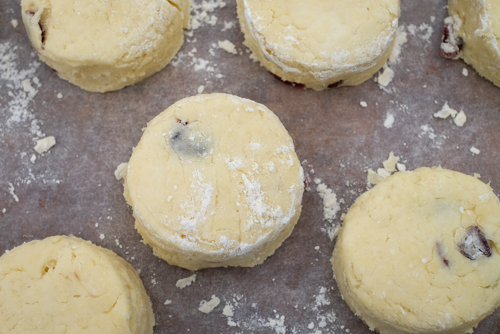 Downtime Cranberry Cream Scones-1