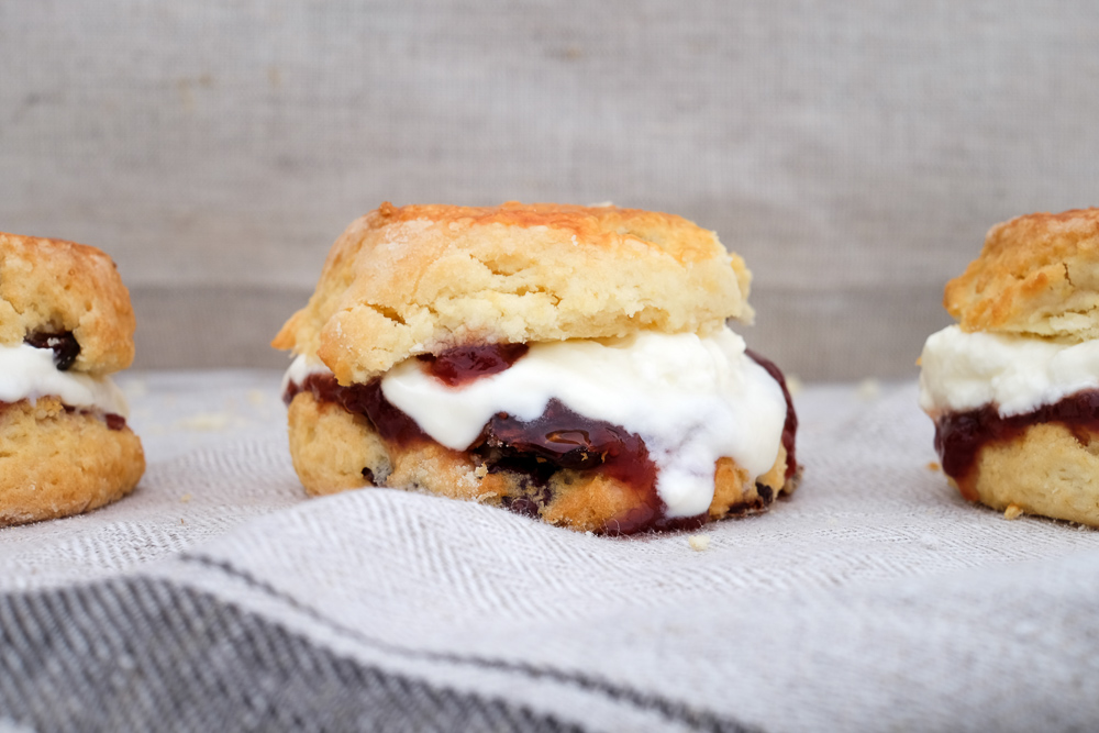 Downtime Cranberry Cream Scones-5