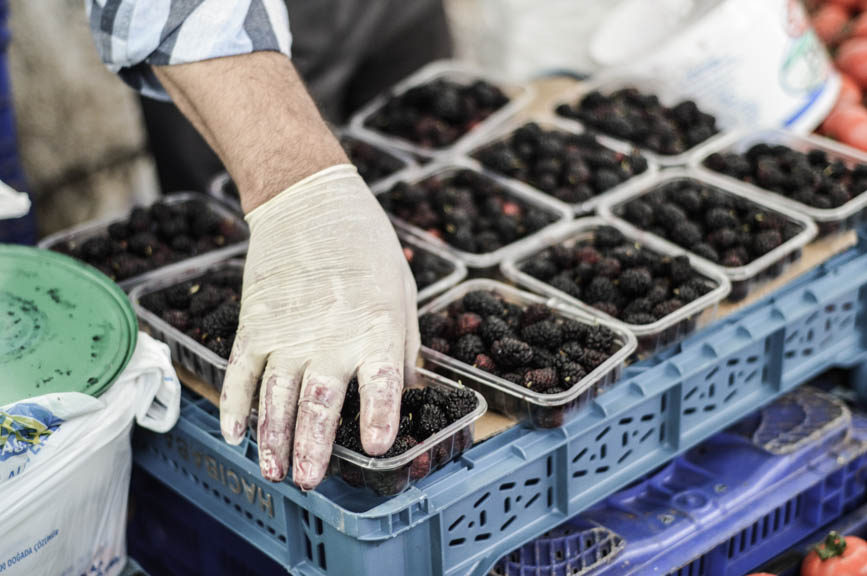 Fethiye mulberries