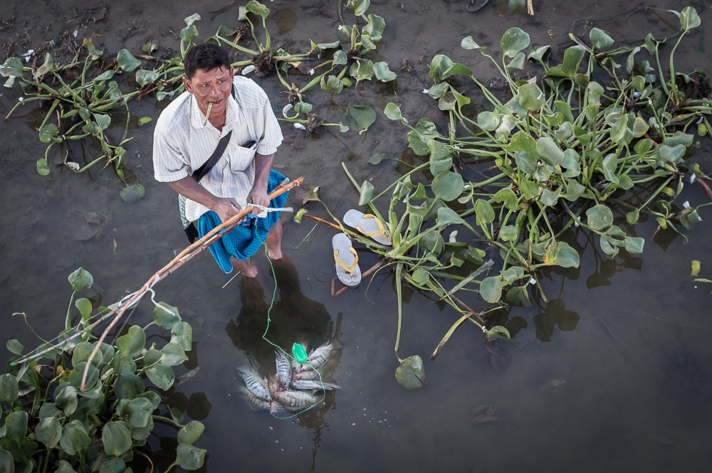 Flip Flop Fisherman