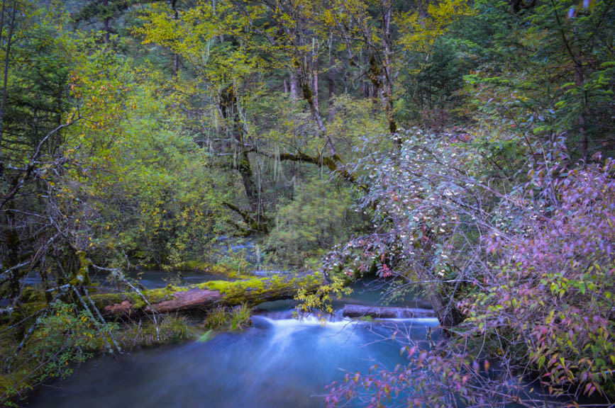 Jiuzhaigou -2