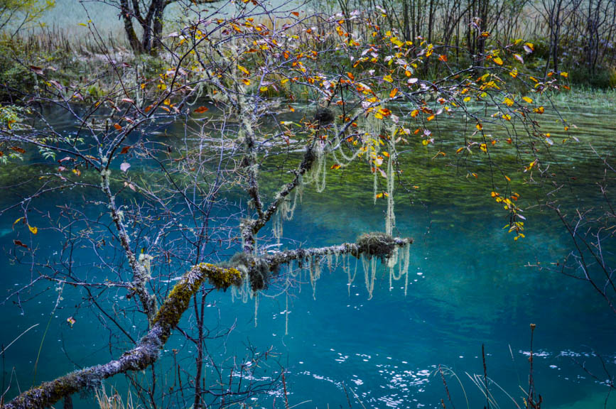 Jiuzhaigou -3