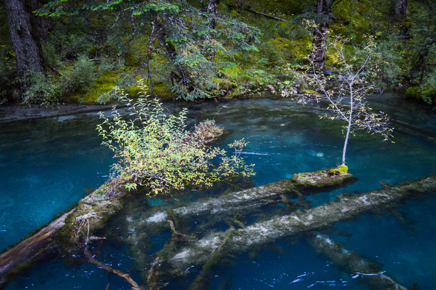 Jiuzhaigou -5