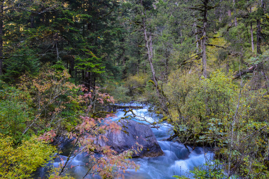 Jiuzhaigou -8