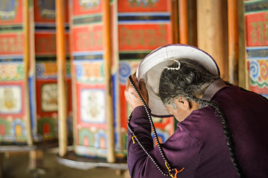 Labrang purple lady