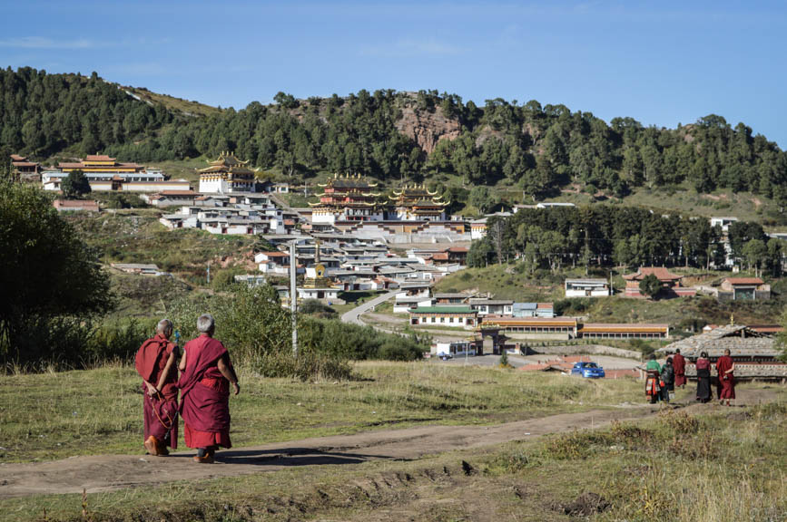 Langmusi pair