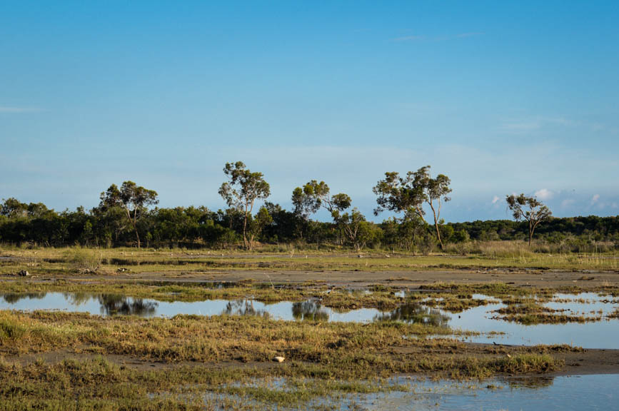 Lycian Way african marsh