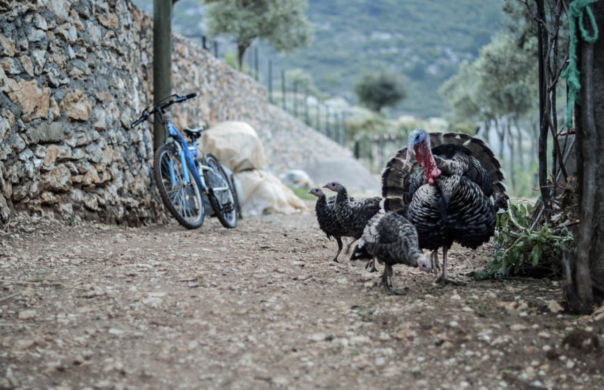 Lycian Way fatima turkey