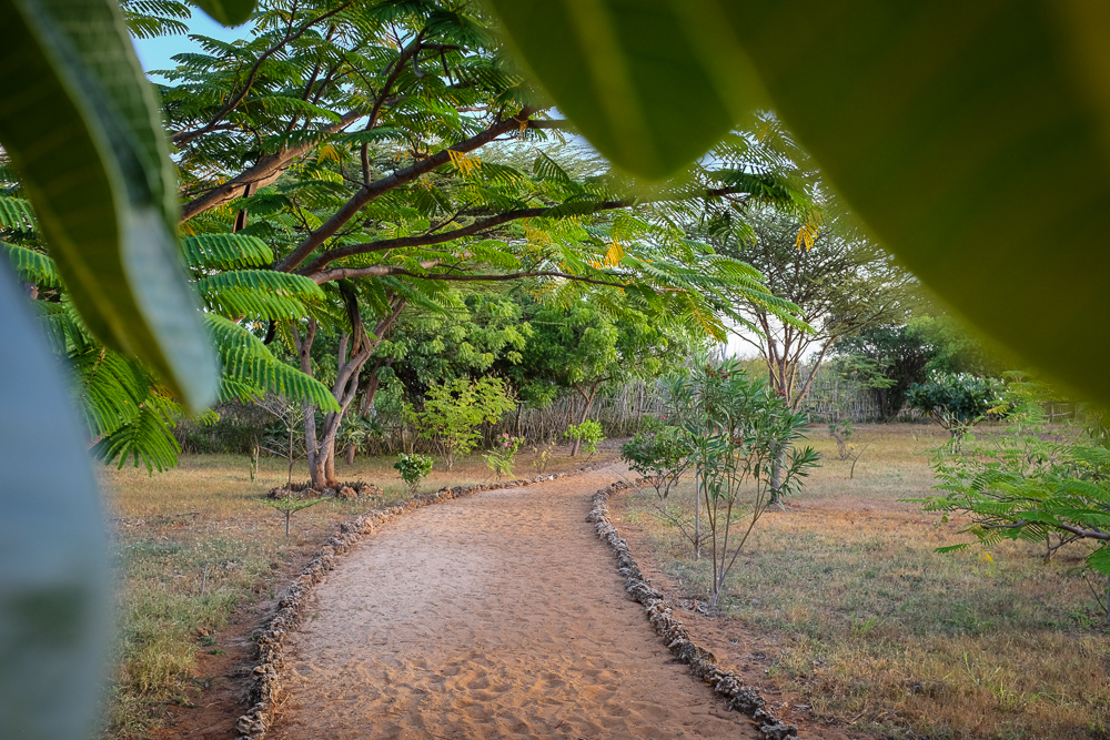 Mkoko House BBQ Gambas-pathway