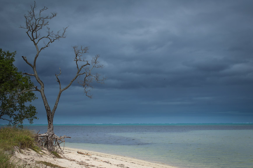 New Caledonia poe storm