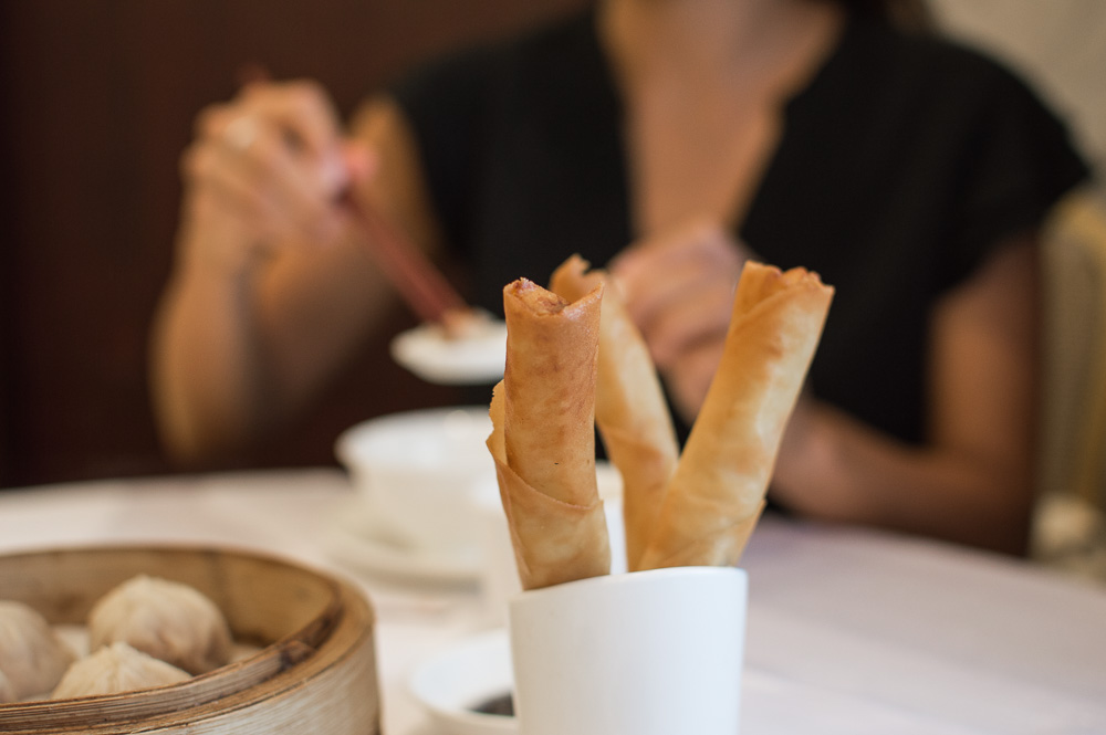 The Non Definitive Guide to Dim Sum-spring rolls