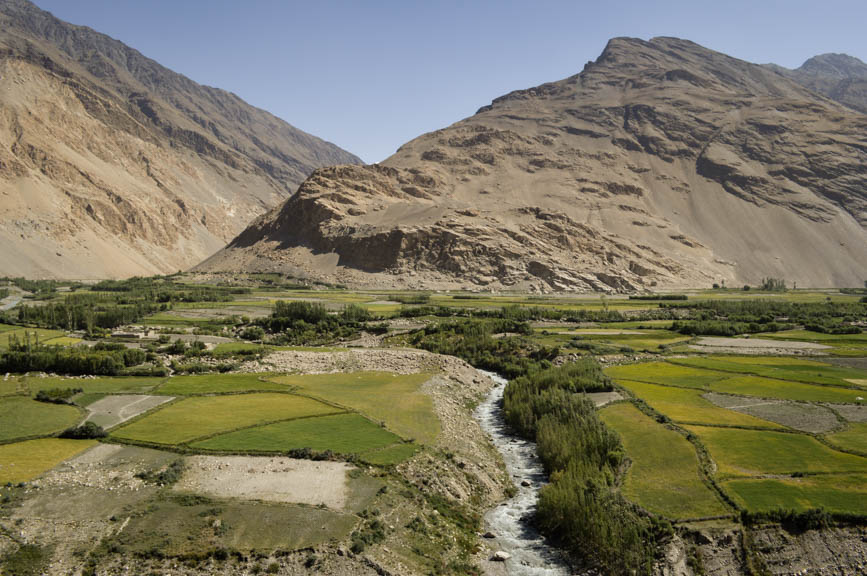 afghan fields