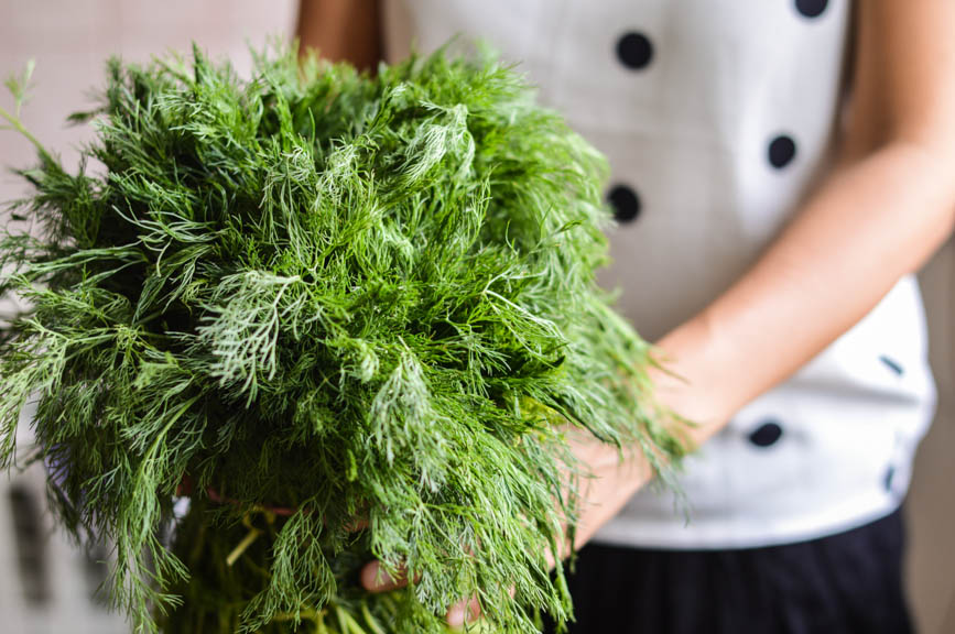 dill bouquet