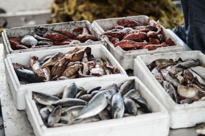 fishing boat market