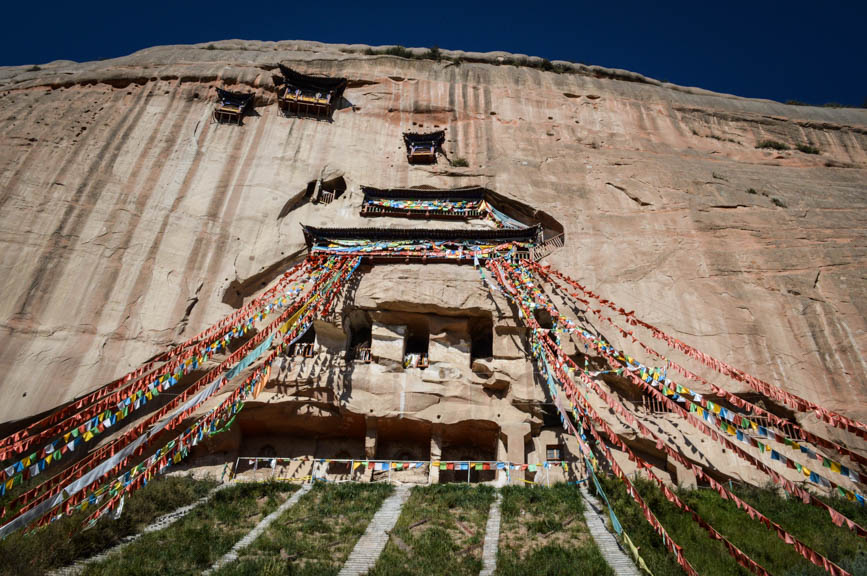 gansu matisi