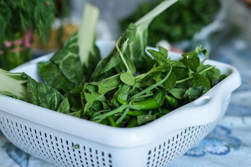 garden herbs