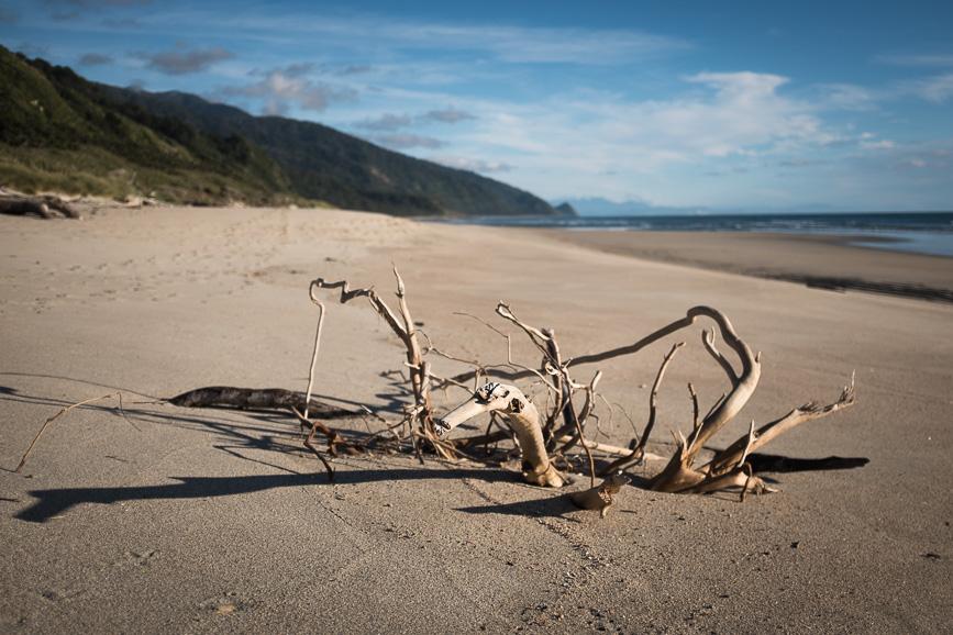 heaphy branch