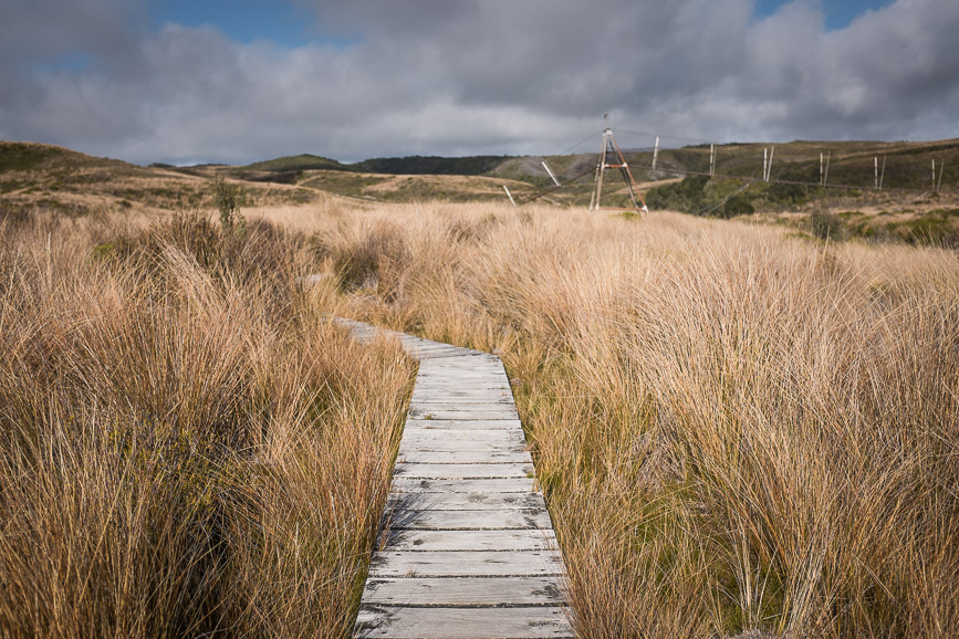 heaphy gouland downs