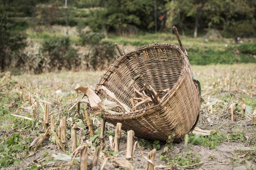 jiaju basket