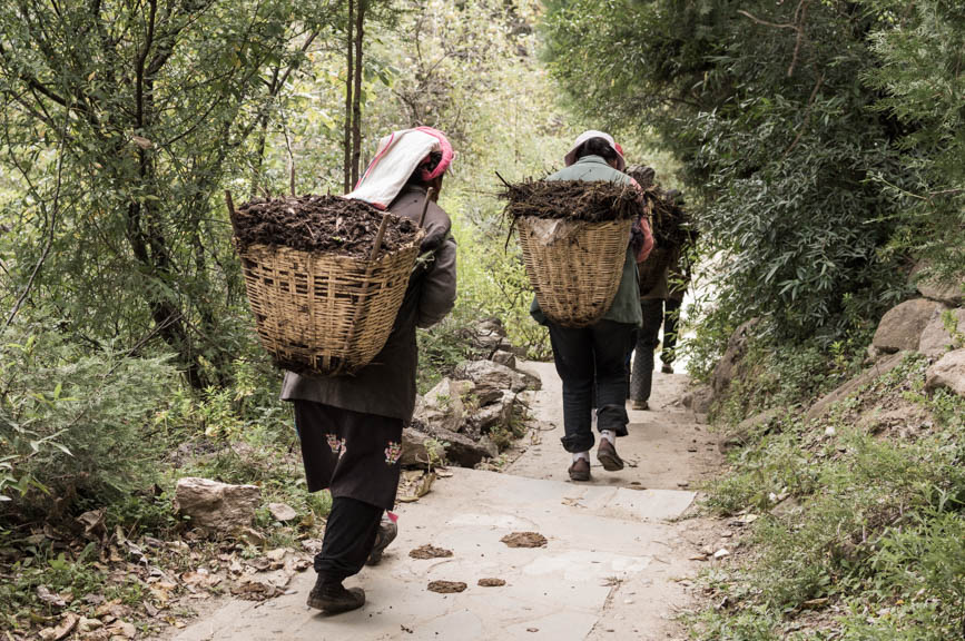 jiaju women baskets