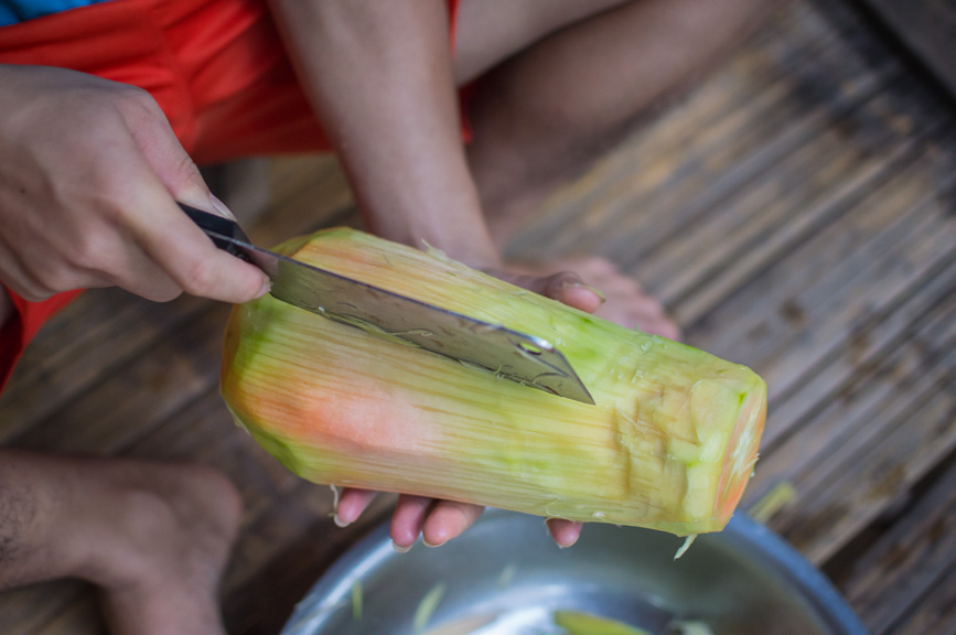 jungle papaya slicing