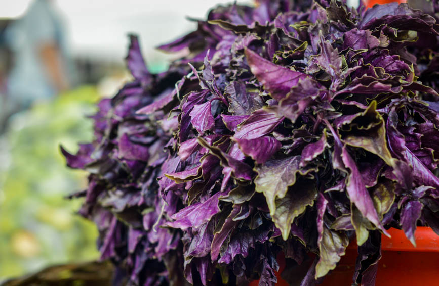 thai basil