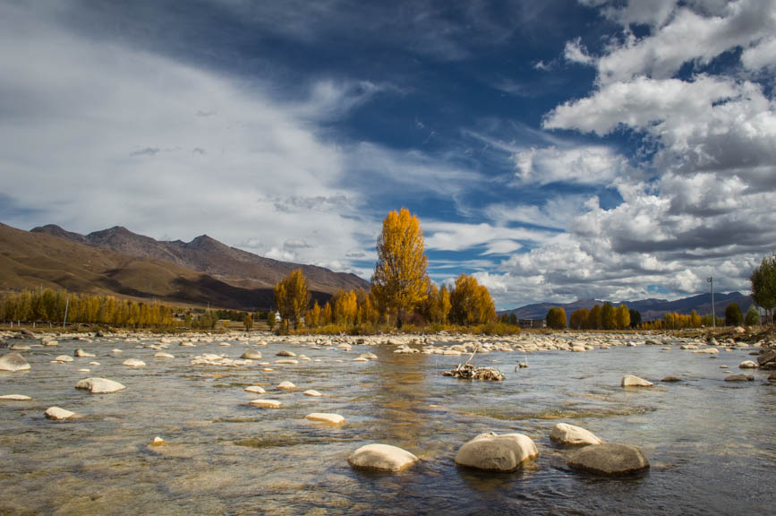 tibetan castle river tree