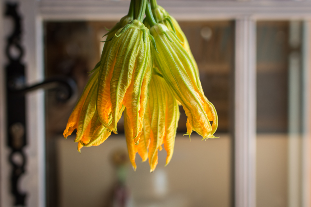 zucchini blossoms upsidedown