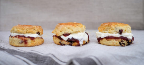 Down-time Cranberry Cream Scones