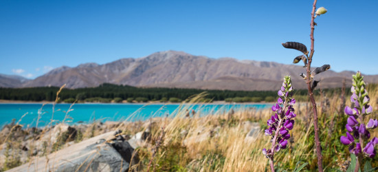 Lake Tekapo Salmon Frittata