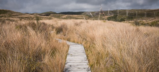 Tramping along the Heaphy Track