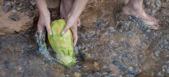 Laos Jungle Papaya Salad