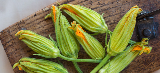 Zucchini Blossoms à la Provençale